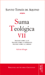 AQUINO-SUMA TEOLGICA. VII (2-2 Q.1-46): TRATADO SOBRE LA FE ; TRATADO SOBRE LA ESPERAN